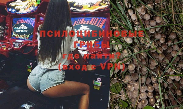 спайс Беломорск