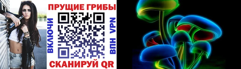 продажа наркотиков  Первомайск  Галлюциногенные грибы прущие грибы 